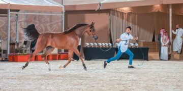 معرض دولي سادس في الرياض  لجمال الخيول العربية الاصيلة  والمعلومات الكاملة في 9 ديسمبر…