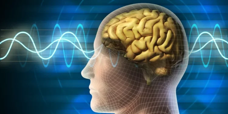 الأمراض العصبية والدماغية في السعودية بدأت تُعالج عن بُعد بأجهزة تخطيط كهربائية متقدمة متّصلة بمستشفى “صحة الافتراضي”