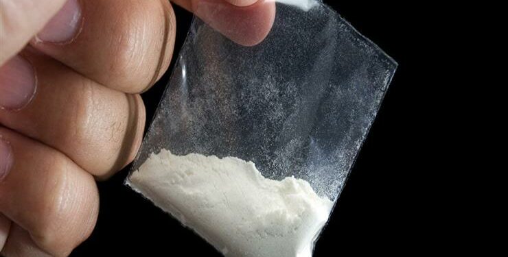 دراسة عن التعاطينشرتها مجلة “علم الأعصاب”…الكوكايين يمنع التواصلبين شبكات الدماغ المهمةويُطلق أحلام اليقظةوالتفكير في الماضي أو المستقبلويُعطّل الإبداع!