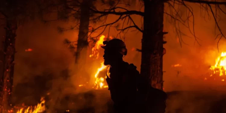 النشرة الـ 325 للإتحاد المصري للتأمينتُعالج المخاطر الطبيعية وفجوات الحماية…الخسائر العالمية المغطاةحطّمت الأرقام القياسيةوالجفاف الموسمي في الولايات المتحدةأكبر خسارة مسّجلة عام 2023