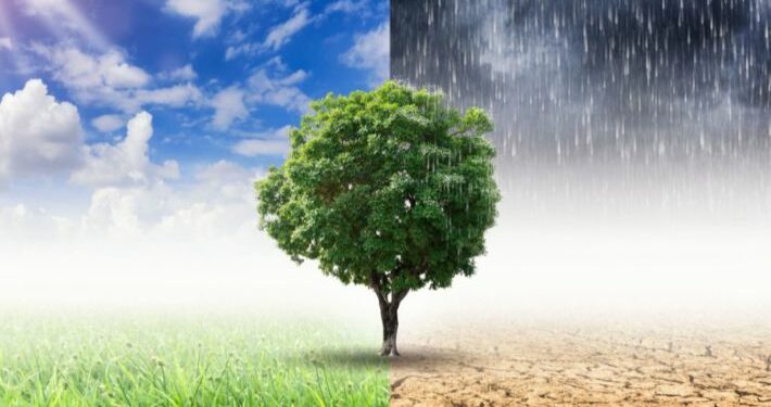 نشرة الـ 328 للإتحاد المصري للتأمين يُلقي الضوء على مخاطر 2024… أربعة أخطار هذا العام: التغيّر المناخي..النموّ السكاني التسارع التكنولوجي والتطوّر المادي…