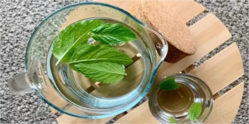 حرّ الصيف بدأ يزعجك و…يؤذيك؟ الخبراء ينصحونك بالإبتعاد عن اللحوم  والإكثار من شرب النعناع المنشطّ…