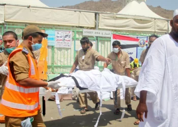 الحج هذا العام لم يُسجّلأوبئة أو أمراضاً متفشيّة..أما المتوفون فغيّر مصرّح لهم بالزيارةوأكملوا المخالفة بقطع مسافات طويلةتحت أشعة الشمس بلا مأوى ولا راحة..