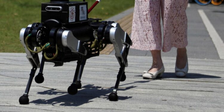 روبوت آلي يحلّ مشاكل ضعاف البصر…