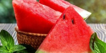 المعدة بيت الداء والبطيخة الحمراء الباردة…أفضل دواء!
