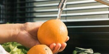 يومان عالميان للغذاء أحدهما لسلامتهوثانيهما للإضاءة على معاناة الجياع…“غلوب مد” في مقال إرشادي:خمس طرق لسلامة الغذاء…