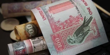 أرباح قطاع التأمين في 2023 في دولة الإمارات: 2،5 مليار درهم وإمارة دبي استحوذت على النصيب الأكبر…