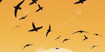 في “مفازة” الاغتراب 2.. هل الضفة الأخرى من النهر.. أجمل؟