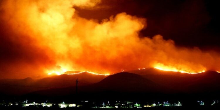 التغيّر المناخي يُفقد تونس60 بالمئة من غاباتهاو 1،3 بالمئة من الناتج المحلي…