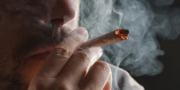 تقرير طبي أميركي يحذرّ:  تدخين الحشيشة يؤهّب للنوبات القلبية  لارتفاع ضغط الدم و الكولسترول الضار  و امراض الشريان التاجي…