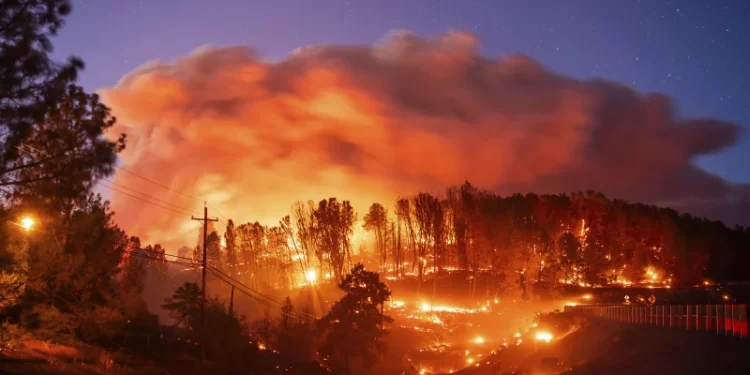 شركات إعادة التأمين الأوروبية الكبرى في وضع جيّد بحسب فيتش…