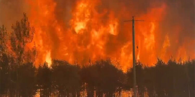 حرائق كندا سترفع أسعار التأمين..