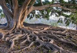 مَن يحبّ لقاءَ مقابل تموت عنده القدرة  على العيش المشترك… د. الياس ميشال الشويري: الموت الأكبر   موت القيم والمروءة والإنسان…