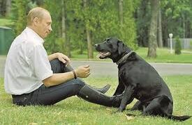 الولاء الأعمى يشبه كلاب حراسة لا تنبح على سيّدها ولو سرق… د. الياس ميشال الشويري: النباح في وجه السارق بداية طريق لإسترداد الوطن…