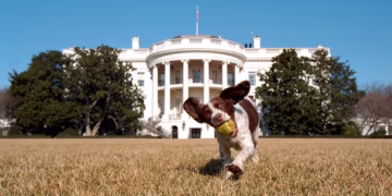 “مات المير لم يهتم به أحدمات كلبه كلّ الناس عزّت فيه”..د. الياس ميشال الشويري:مثلٌ يعكس انحطاط الأولوياتوتفضيل الشكل على المضمون…