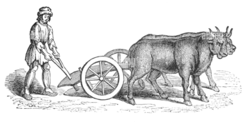 قراءة سياسية في المثل القائل:الثلم الأعوج من الثور الكبير…د. الياس ميشال الشويري:إصلاح الإعوجاجيبدأ من محاسبة القائد…