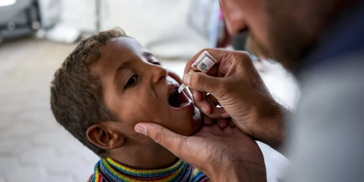 تحديات صحية متزايدةفيما تشهد WHOتراجعاً في حجم المساعدات..هل تنقذ الدورة الـ 72 الوضع المأزوم؟