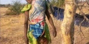 العنف المتصاعد في “الفاشر” بالسودانيُنذر بالمزيد من المخاطر الإنسانية  …منظمة الصحة العالمية تُدينوالكوليرا أطلّت برأسها واستقرت!