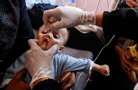 إطلاق حملة التمنيع التداركي  في قطاع غزة…