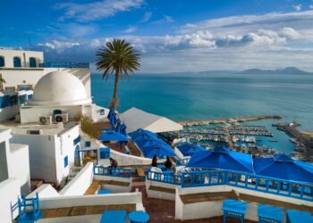 قطاع التأمين التونسي: نمو لافتفي اقساط الحياة والتأمينات العامة..