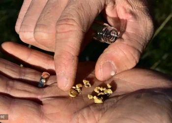 لأنها تاريخياً هي المنجم..الهواة يبحثون عن الذهبفي المناطق المحروقة في كاليفورنيا…