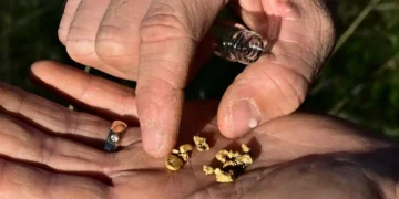 لأنها تاريخياً هي المنجم..الهواة يبحثون عن الذهبفي المناطق المحروقة في كاليفورنيا…