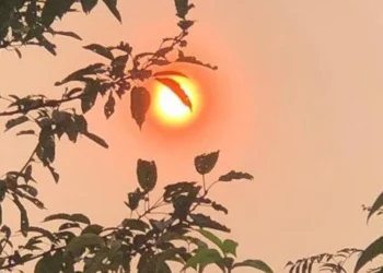 Ophelia تعودفحذارِ البرد ومشاكل الجهاز التنفسي..