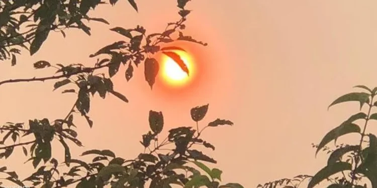 Ophelia تعودفحذارِ البرد ومشاكل الجهاز التنفسي..