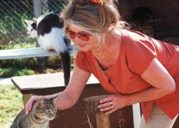 بريجيت باردو الراحلة عن 91 عاماً:3 عناوين بارزة رافقت مسيرتها..كانت مزعجة للنساء..مثيرة للرجالوأفلامها من مصادر الدخل القومي الفرنسي..