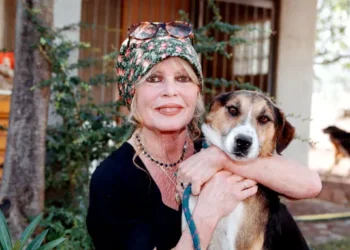 بريجيت باردو الراحلة عن 91 عاماً:3 عناوين بارزة رافقت مسيرتها..كانت مزعجة للنساء..مثيرة للرجالوأفلامها من مصادر الدخل القومي الفرنسي..