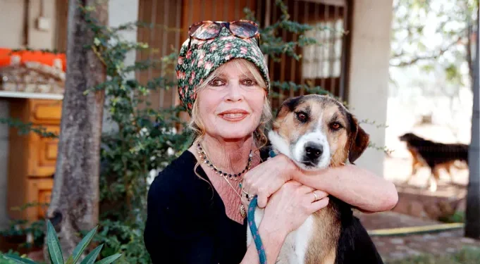 بريجيت باردو الراحلة عن 91 عاماً:3 عناوين بارزة رافقت مسيرتها..كانت مزعجة للنساء..مثيرة للرجالوأفلامها من مصادر الدخل القومي الفرنسي..