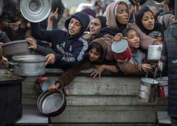 "الصحة العالمية":التقدم في مكافحة المجاعةفي غزة لا يزال هشًّا...