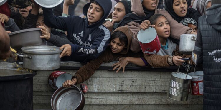 "الصحة العالمية":التقدم في مكافحة المجاعةفي غزة لا يزال هشًّا...