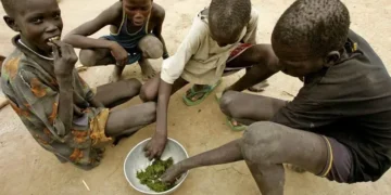 الأمم المتحدة تخفّض إلى النصف مساعداتها الإنسانية مع التراجع الحاد لتمويل المانحين…