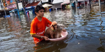 أنظمة التكيّف و الإنذار المبكر انقذا عدداً لا يحصى من الأرواح في فيتنام تايلاند واندونيسيا والساحل الشرقي لروسيا…