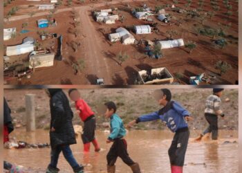 د.غالب خلايلي يتابع الكتابةعن ذكريات البرد 2:يوم قصدتُ بيت عمتي الثالثة صباحاو كان البرد شديدا...