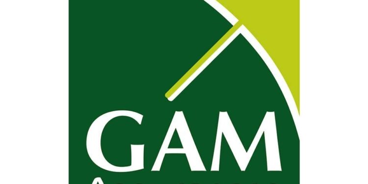 هل تفوز Gam Assurancesبجائزة Mena II للعام 2026بفضل أدائها المتميّز بقطاع التأمين؟