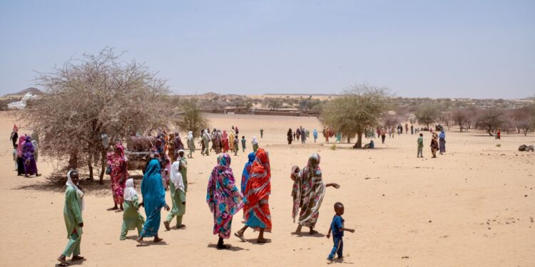 ألف يوم من الحرب في السودان..نزوح وجوع ونداءات عاجلة للسلام