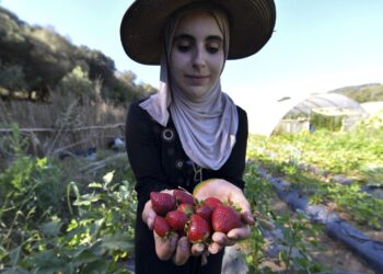 الجزائر تسعى نحو إقرارتغطية تأمينية تشملمختلف الكوارث الطبيعية الناجمةعن تغيّر المناخ...