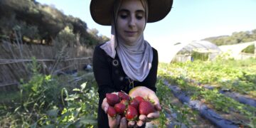 الجزائر تسعى الى إقرار تغطية تأمينية تشمل مختلف الكوارث الطبيعية الناجمة عن تغيّر المناخ…