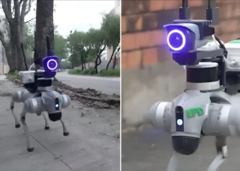 هونغ كونغ تُسرّع خطى الإعتمادعلى الذكاء الإصطناعي في الحقل الزراعي:كلاب روبوتية ترقب..ترشّ مبيداتوتقضي على البعوض