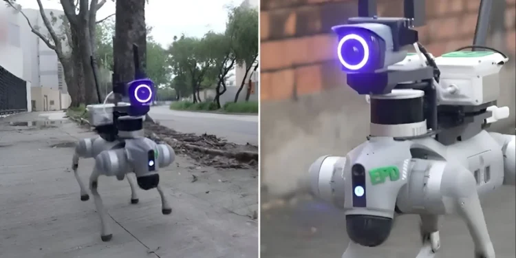 هونغ كونغ تُسرّع خطى الإعتمادعلى الذكاء الإصطناعي في الحقل الزراعي:كلاب روبوتية ترقب..ترشّ مبيداتوتقضي على البعوض