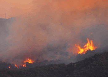 أكبر خمس كوارث طبيعية في 2025من حيث الخسائر المؤمنة