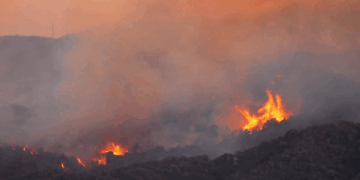 أكبر خمس كوارث طبيعية في 2025 من حيث الخسائر المؤمنة…