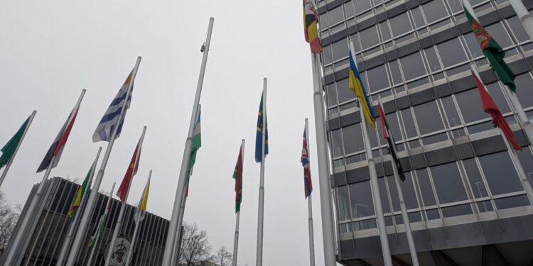 العلم الاميركي أُزيل من أماممقرّ منظمة الصحة العالميةو الخوف من ان يقوّض ترامبالامم المتحدة و يستبدلهابمجلس السلام الذي أنشأه...