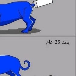 الفساد مثل ذنب الكلبيبقى الإعوجاج فيه قائماًو لو وُضع في قالب أربعين عاماً..د. الياس ميشال الشويري:نهوض لبنان يبدأ حين يُقطعذنب الكلب السياسي...