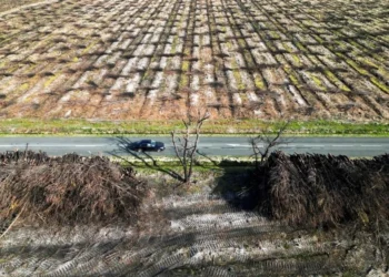 مجلس إستشاري أوروبي ينتقداسلوب التعاطي مع التغيّر المناخيفي مواجهة التكلفة السنوية الباهظة :45 مليار يورو ...