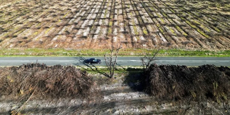 أضرار الظواهر المناخية المتطرفةتكلّف أوروبا 45 مليار يورو سنوياً