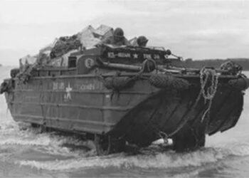 تأمين المركبات البرمائية