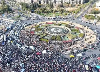 سوريا تحرّر تسعيرعقود التأمين الصحي والمركباتوهيئة الإشراف تراقبوتتحقّق من عدالتها وملائتها الفنية...